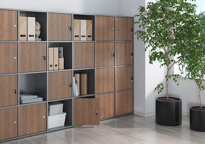 Locker plus