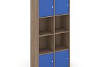 Locker plus